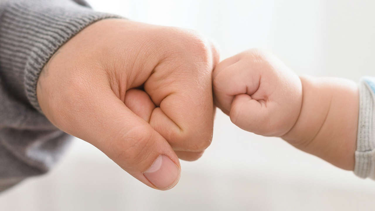 Babylotsen%20Leistungsangebot
